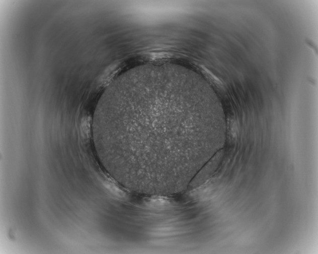 X0000096490475200802071946