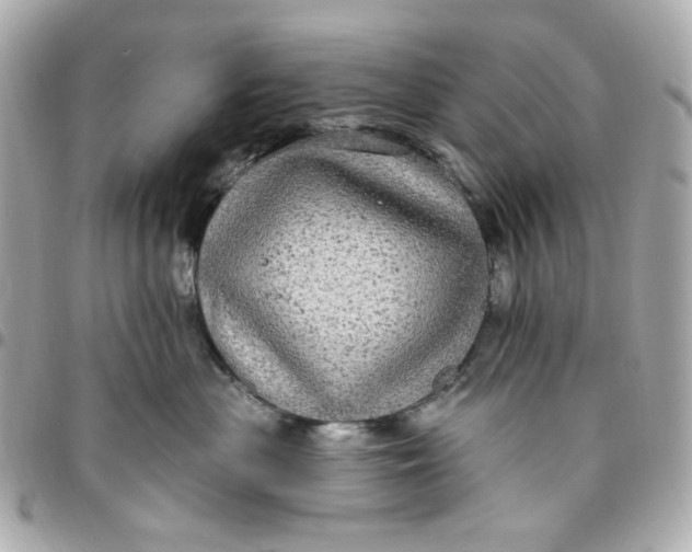 X0000096490477200802071946