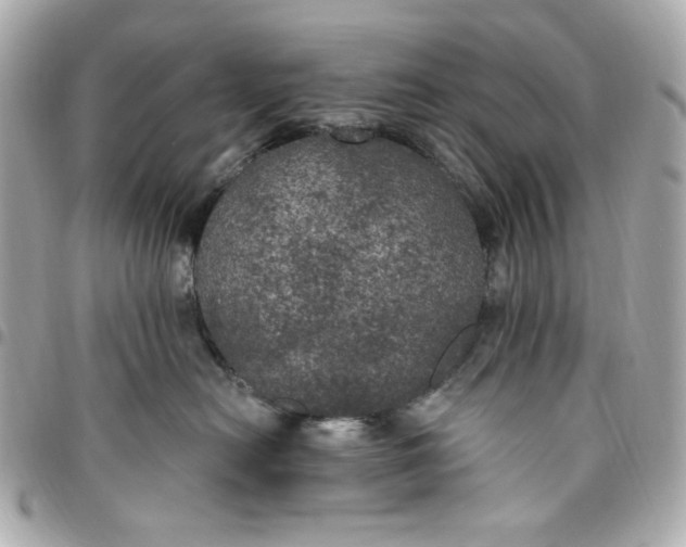 X0000096490478200802071946