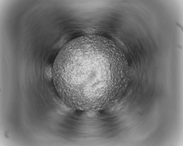 X0000096490479200802071946