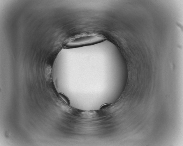 X0000096490480200802071946