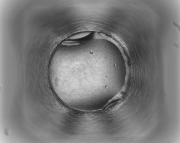 X0000096490481200802071946