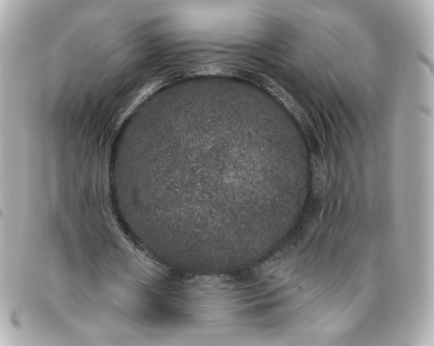 X0000096490482200802071946