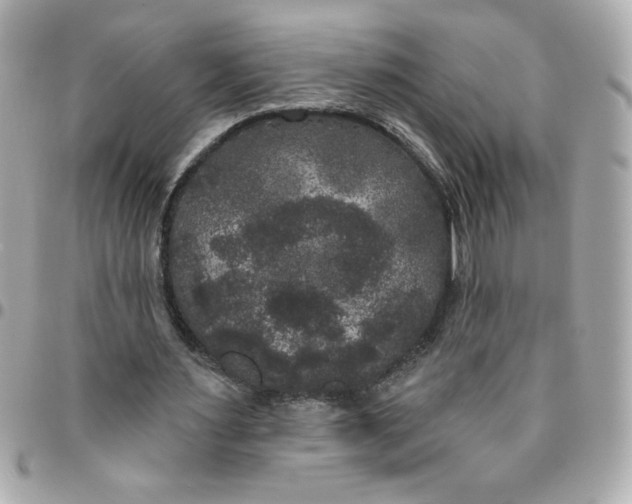 X0000096490483200802071946