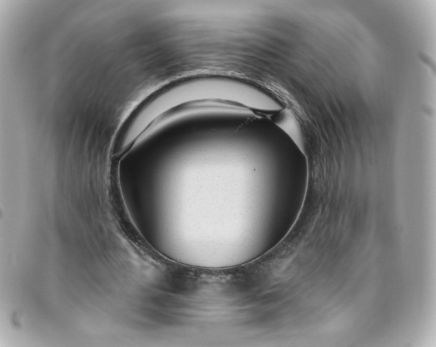 X0000096490484200802071946