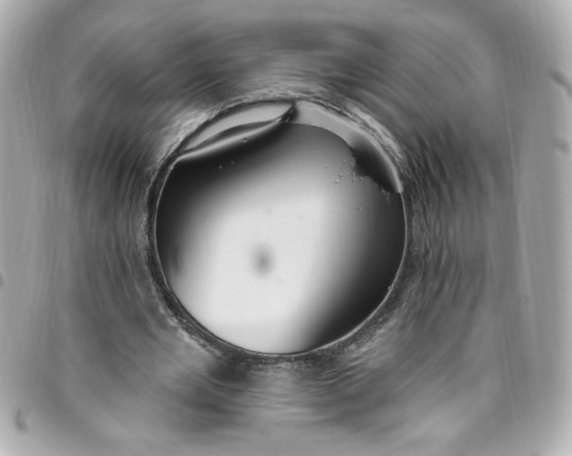 X0000096490485200802071946