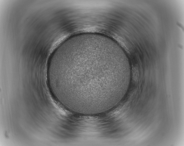 X0000096490486200802071946