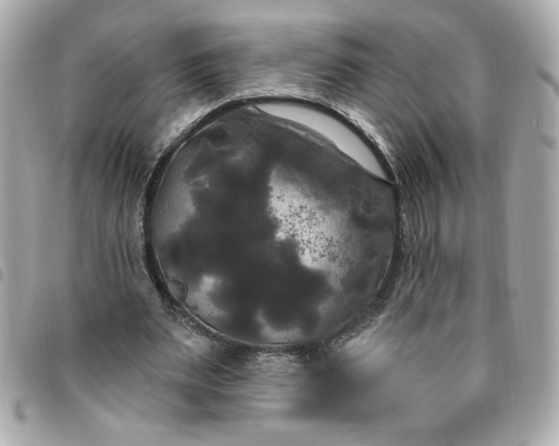 X0000096490487200802071945