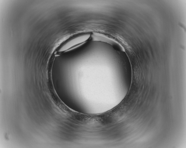 X0000096490488200802071945