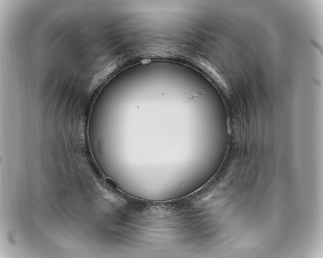 X0000096490489200802071945