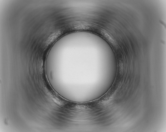 X0000096490490200802071945