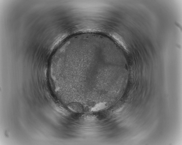 X0000096490491200802071945