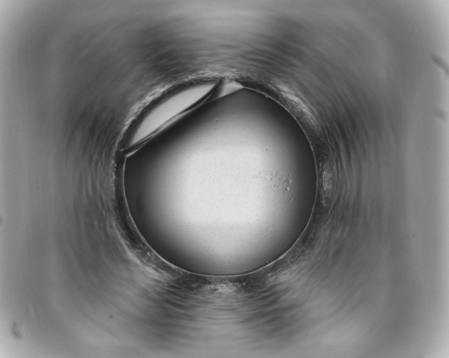 X0000096490492200802071945