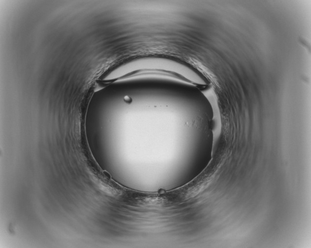 X0000096490493200802071945