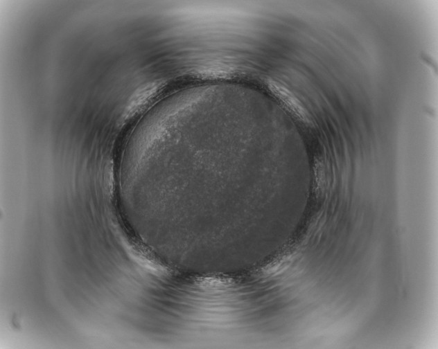 X0000096490494200802071945