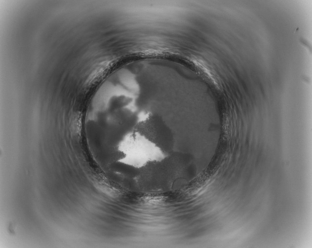 X0000096490495200802071945