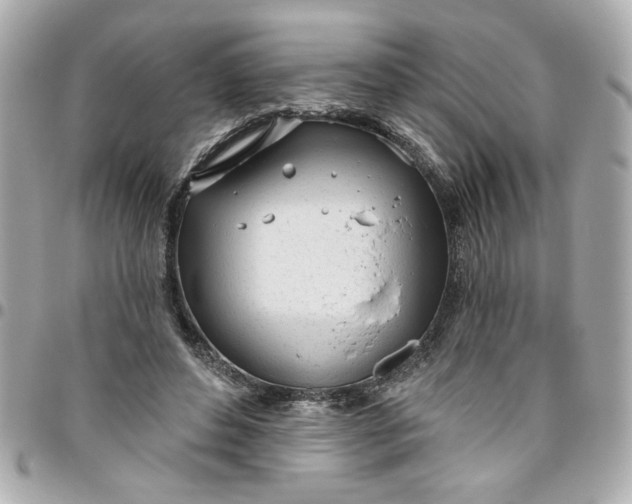 X0000096490496200802071945