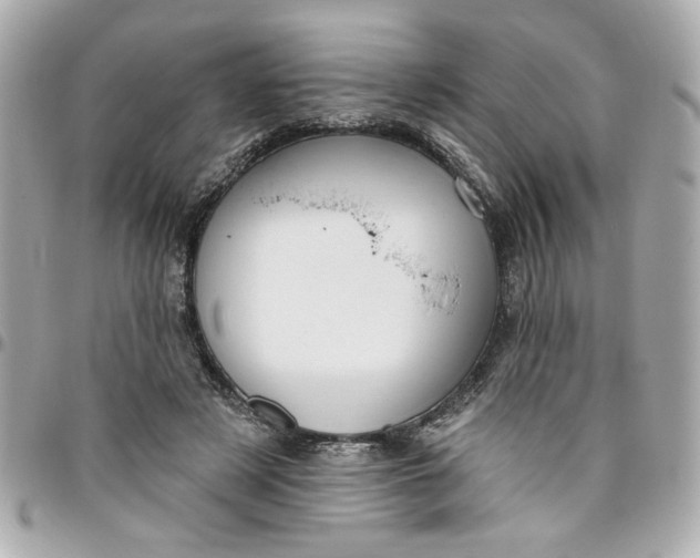 X0000096490497200802071945