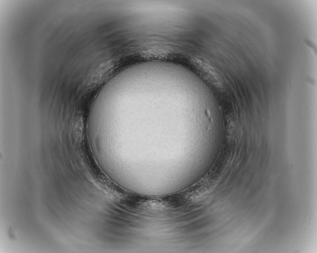 X0000096490498200802071945