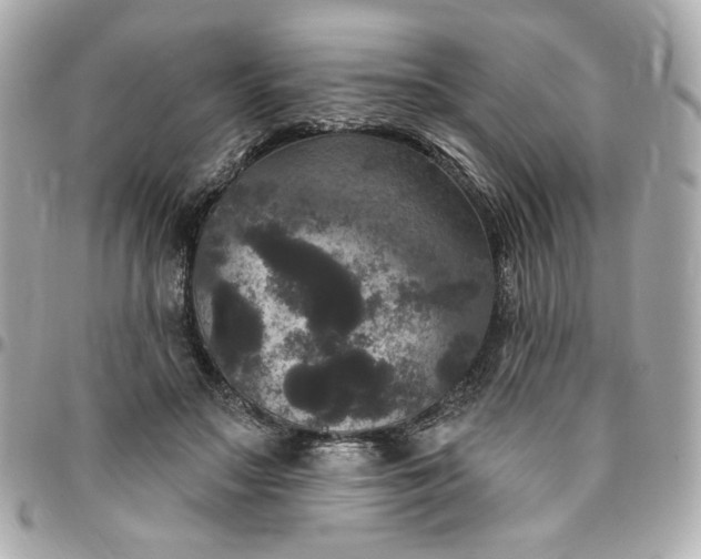 X0000096490499200802071945