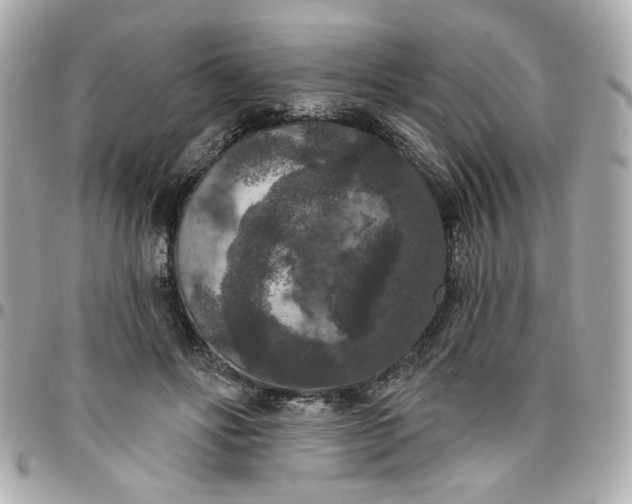 X0000096490502200802071945