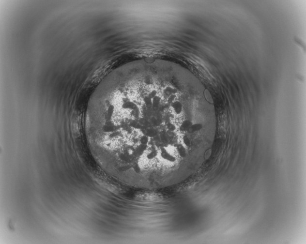 X0000096490503200802071945