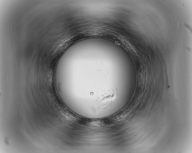 X0000096490505200802071945