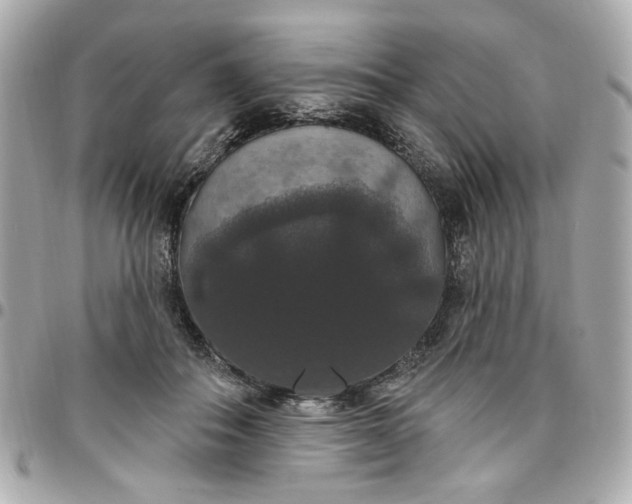 X0000096490506200802071945