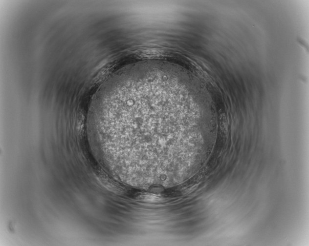 X0000096490507200802071945