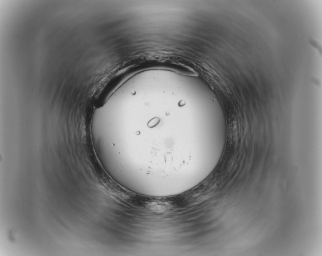 X0000096490508200802071945