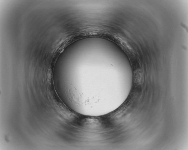 X0000096490509200802071945