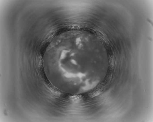 X0000096490511200802071945