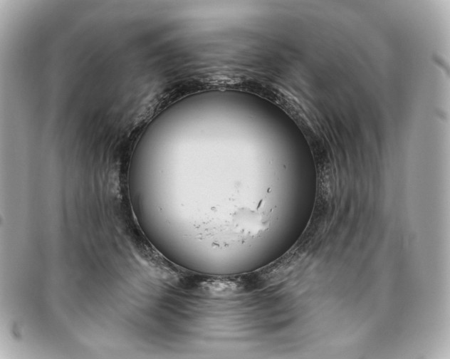 X0000096490512200802071945