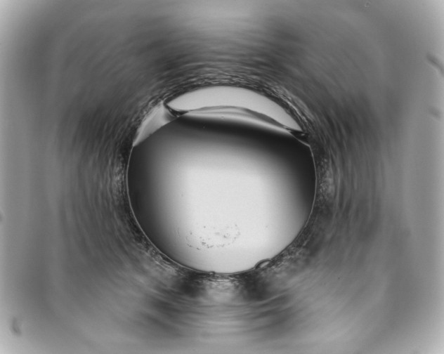 X0000096490513200802071945