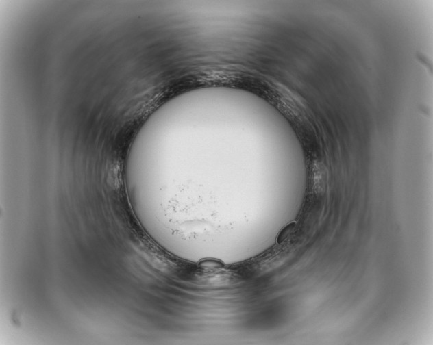 X0000096490514200802071945