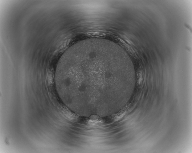 X0000096490515200802071945