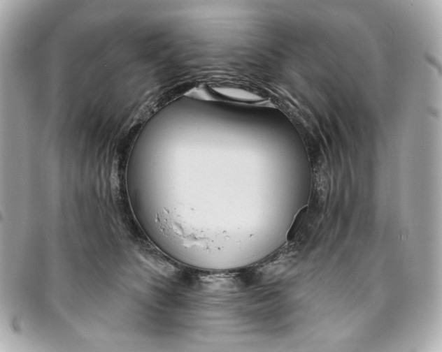 X0000096490516200802071945