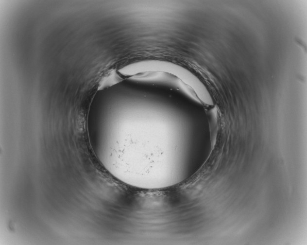 X0000096490517200802071945