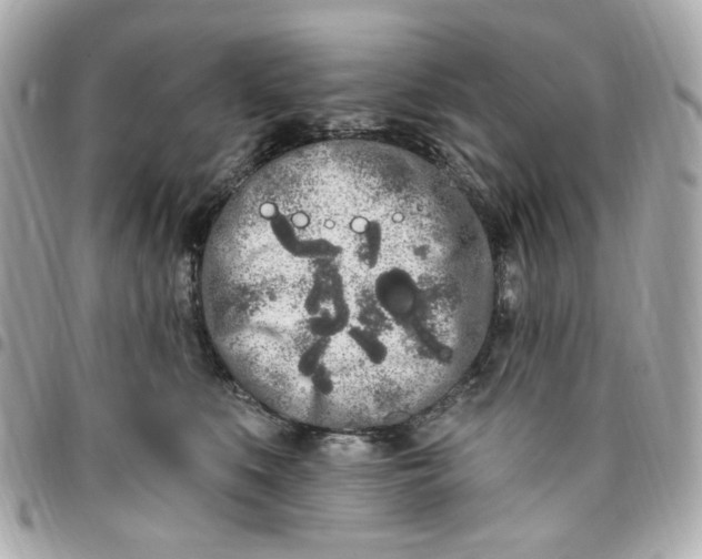 X0000096490519200802071945