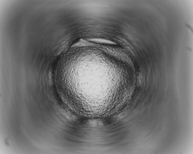 X0000096490520200802071945