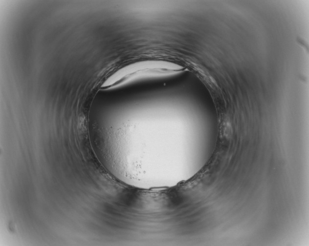 X0000096490521200802071945