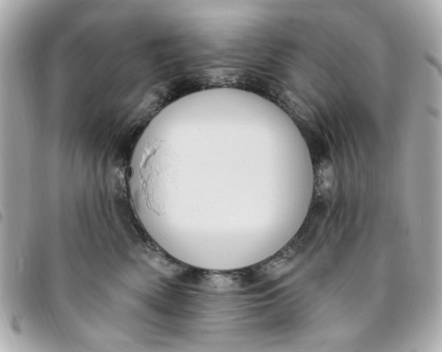 X0000096490522200802071945