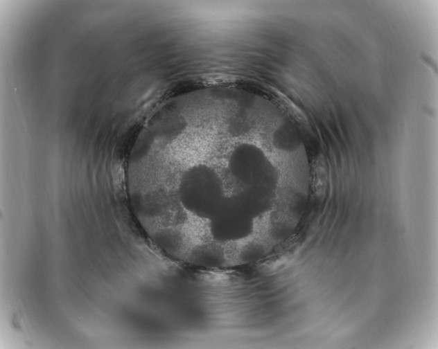 X0000096490523200802071945