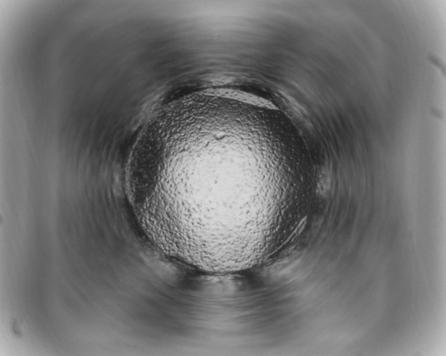 X0000096490524200802071945