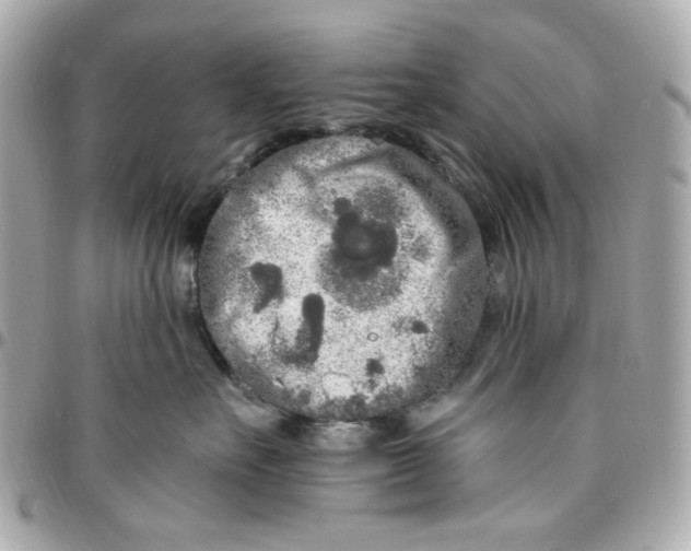 X0000096490527200802071945