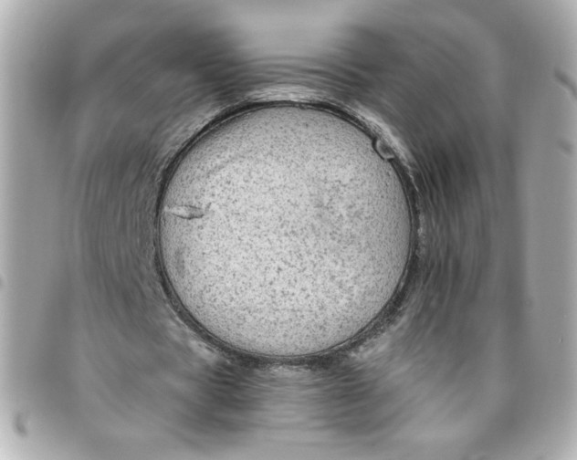 X0000096490529200802071944