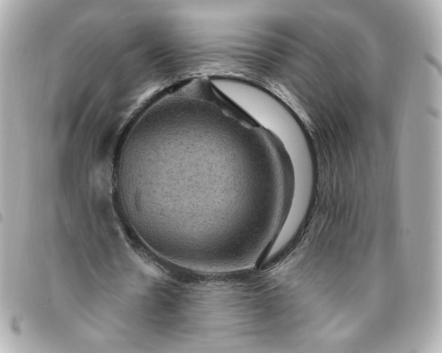 X0000096490530200802071944