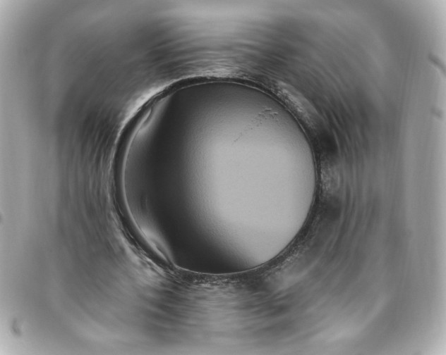 X0000096490532200802071944