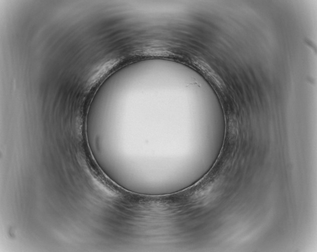 X0000096490533200802071944