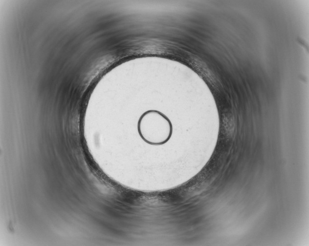 X0000096490534200802071944